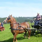 Ardennic For Groups 3* Petit-Thier