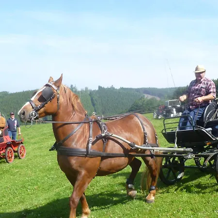 Ardennic For Groups 3* Petit-Thier